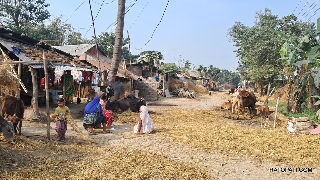 Kajal Gaderi Basti (1)