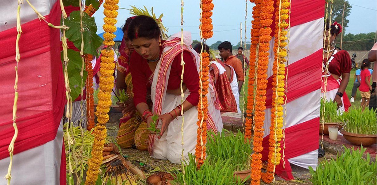   राजाले घरअघिको करमकाे रुखलाई पुज्ने कथा