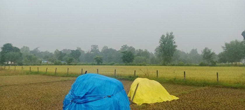 kateko-dhan-2 (1)