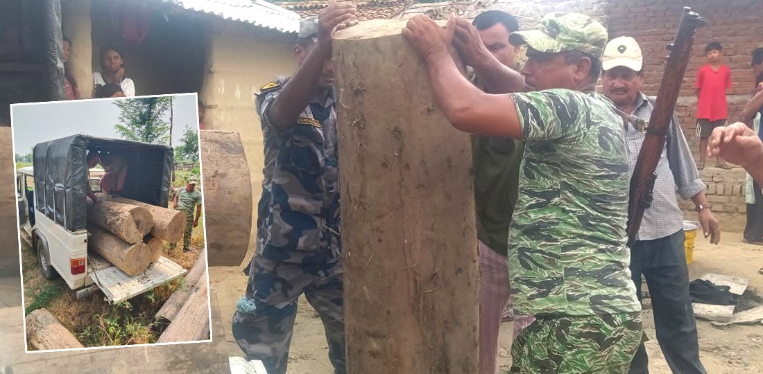 गोठमा लुकाएर राखिएको ४ थान सालको गोलिया बरामद
