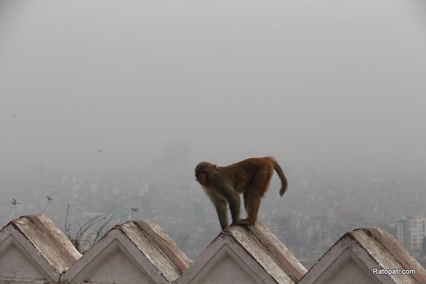 kathmandu-mausam (1)