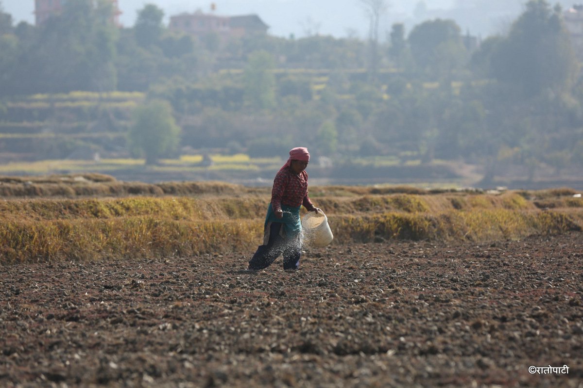 kavre kishan (11)