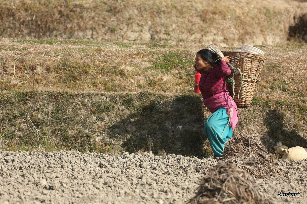 kavre kishan (15)