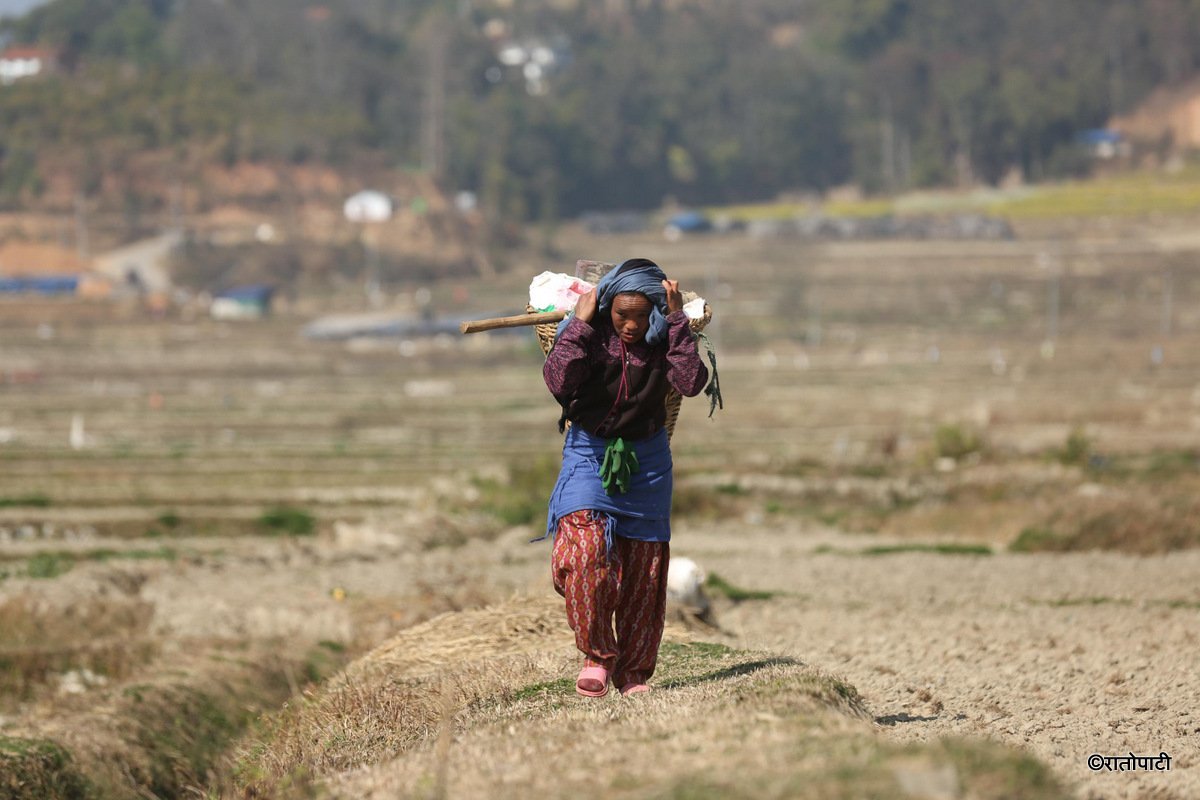kavre kishan (2)