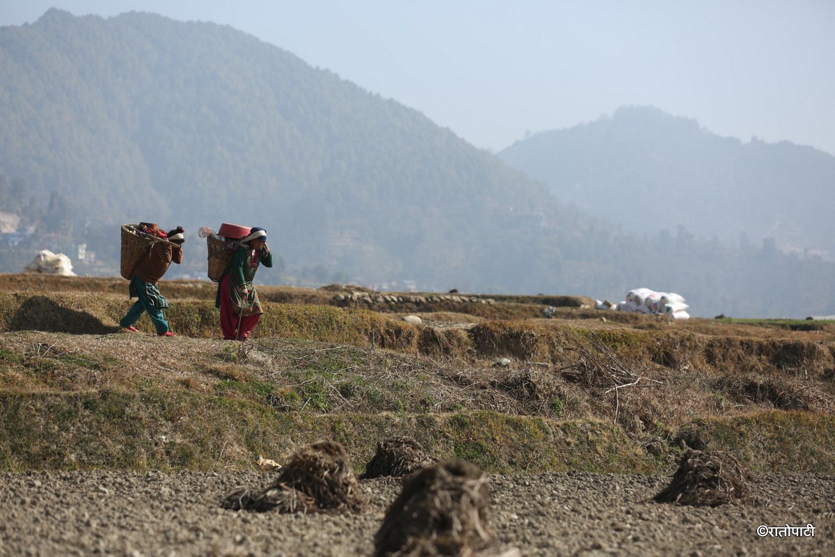 kavre kishan (3)