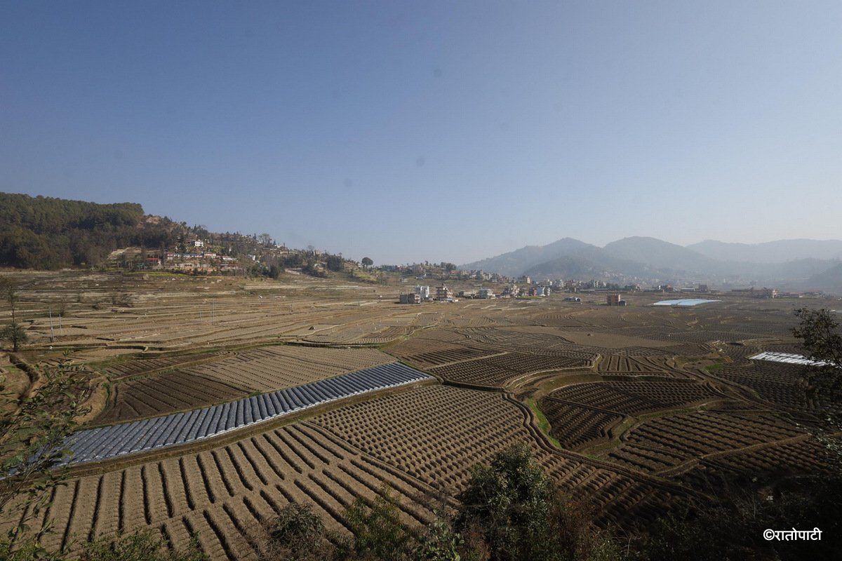 kavre kishan (7)