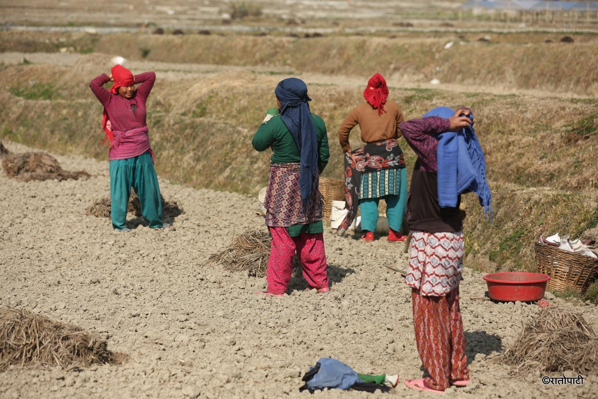 kavre kishan (8)