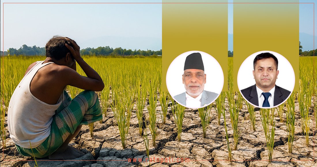 खाद्य सङ्कटको चिन्ताबिच कृषि मन्त्री र सचिवको विदेश भ्रमण