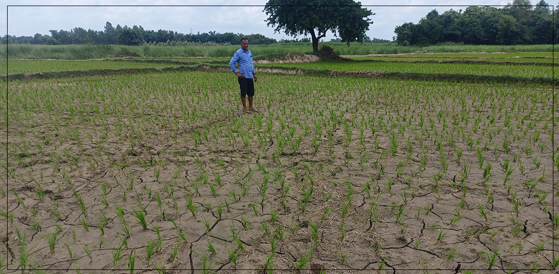   बारा, पर्सा, रौतहट आसपास गत वर्षको तुलनामा २० प्रतिशतमात्रै वर्षा