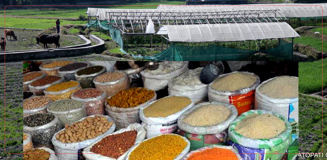 ‘भारतले अन्न दिन्न भने २५ प्रतिशत नेपाली भोकै हुने स्थिति’
