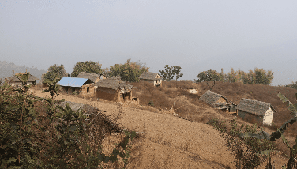 बाँदर आतङ्कले बसाइँसराइ बढ्दा बस्ती नै खण्डहर