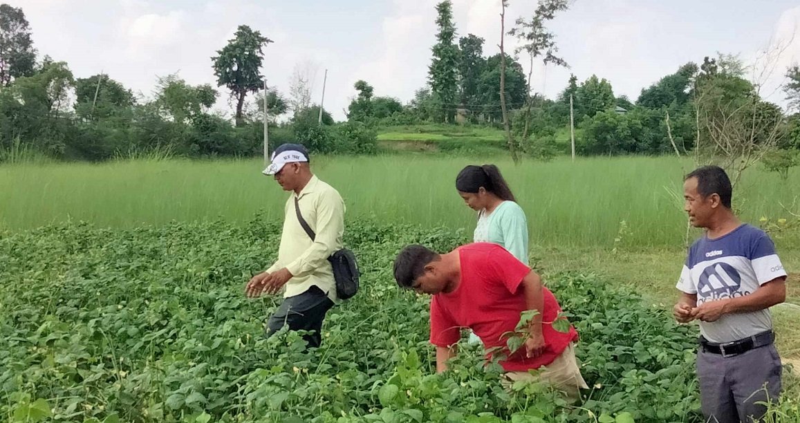 लुम्बिनी प्रदेश : भूमि बैंक र करार खेती कार्यक्रम असफल