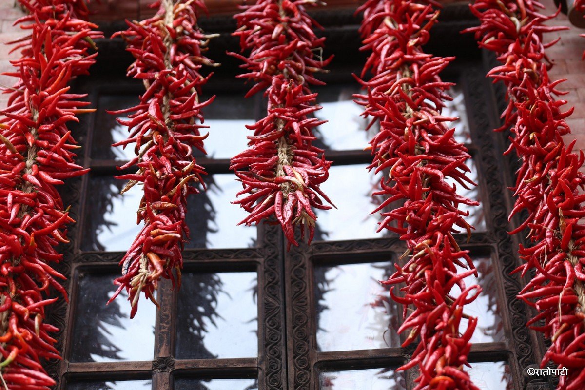 khokana khursani (1)