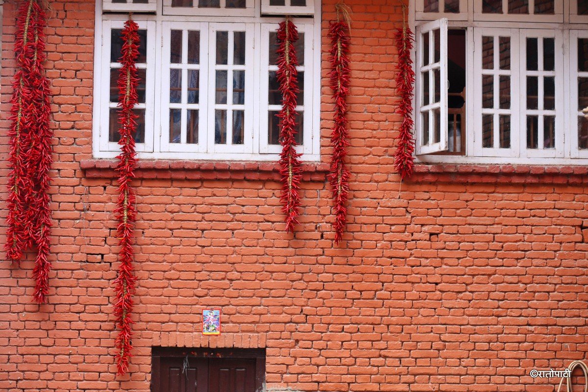khokana khursani (2)