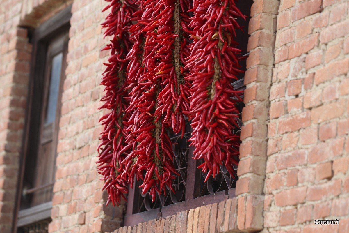 khokana khursani (6)