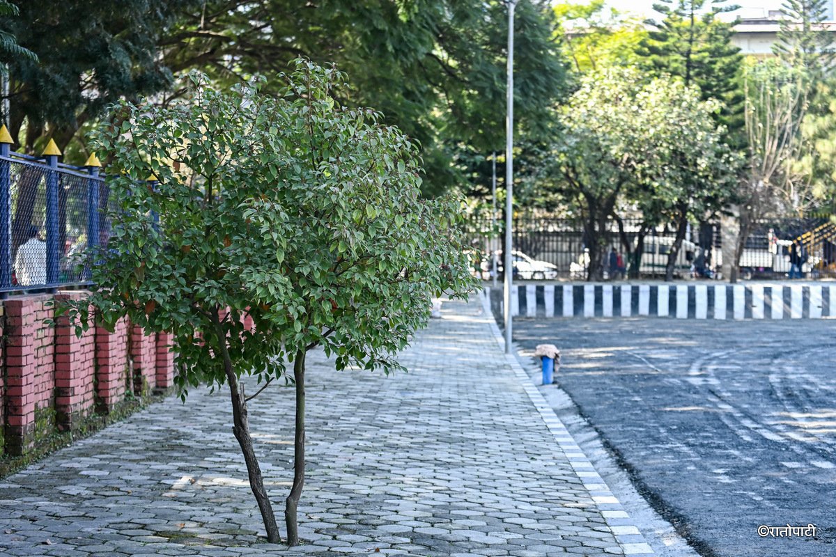 khulla manch (14)