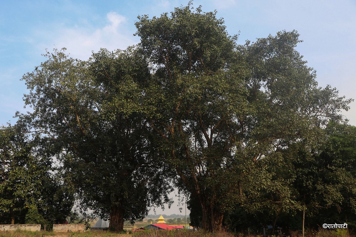Kichkabad (12)
