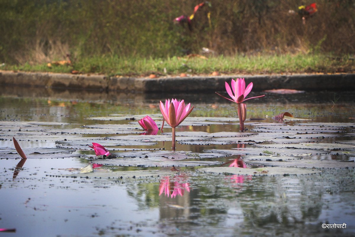 Kichkabad (2)