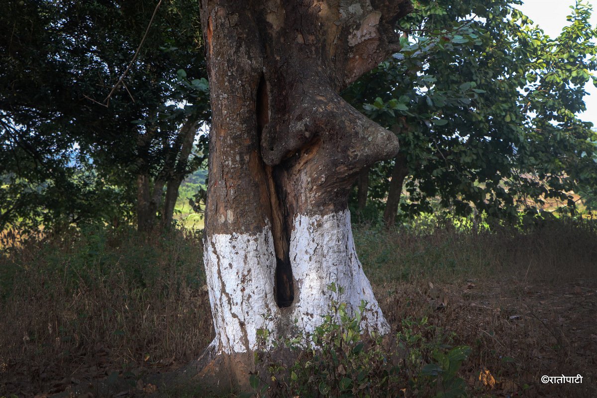 Kichkabad (5)