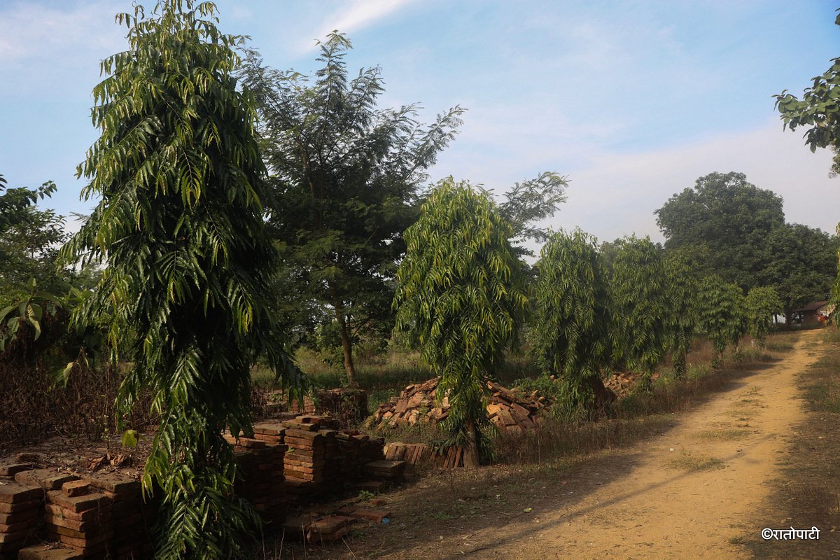 Kichkabad (7)