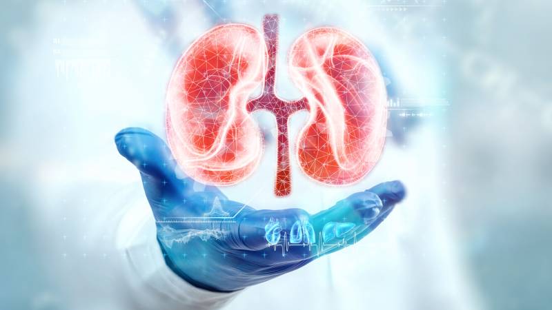 Early Signs of Kidney Cancer