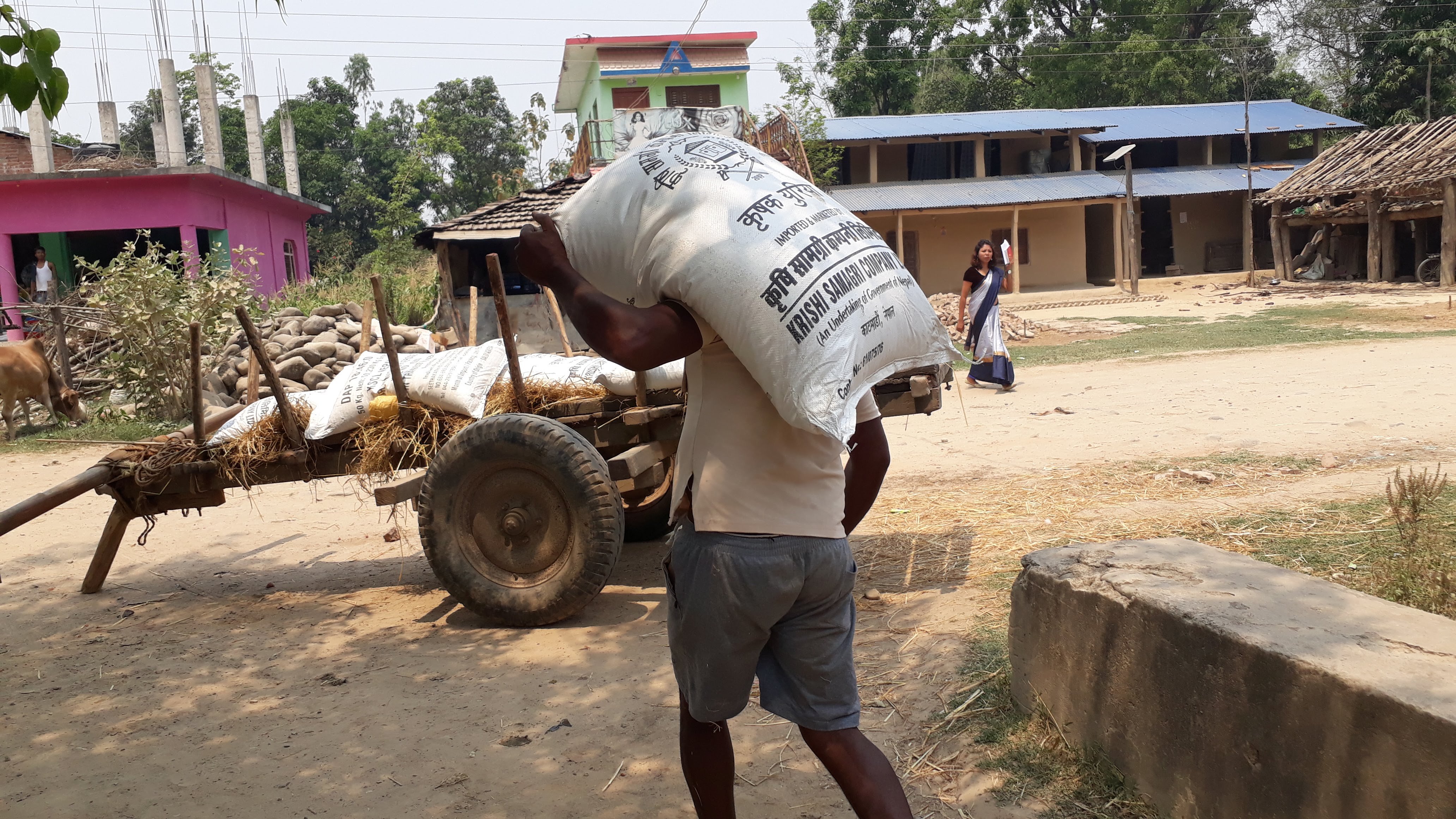 सुदूरपश्चिमको मलको कोटा सकियो, समस्यामा किसान