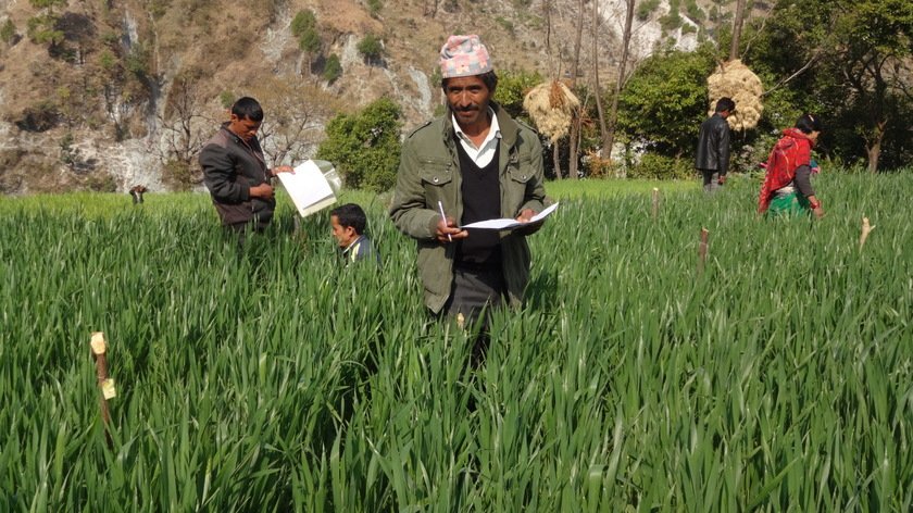 kisan (1)