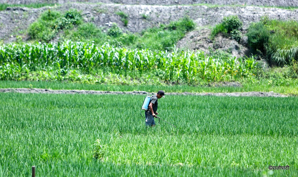 kisan agriculture (4)