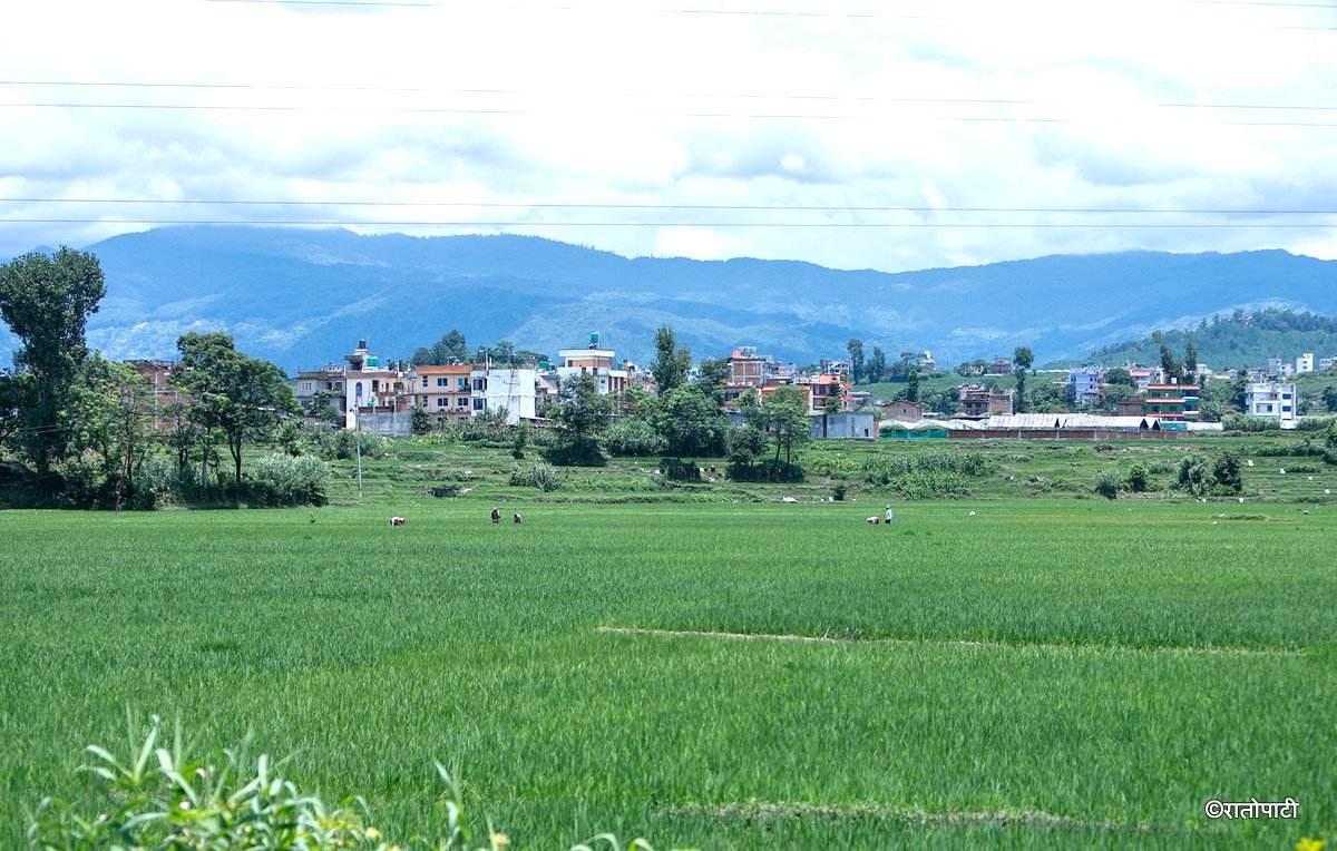 kisan agriculture (6)