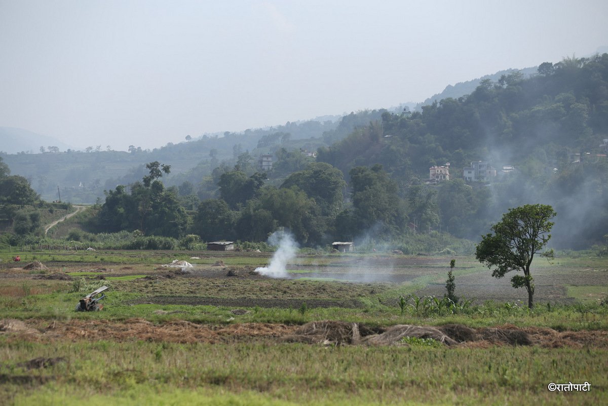 kisan khet agriculture (16)