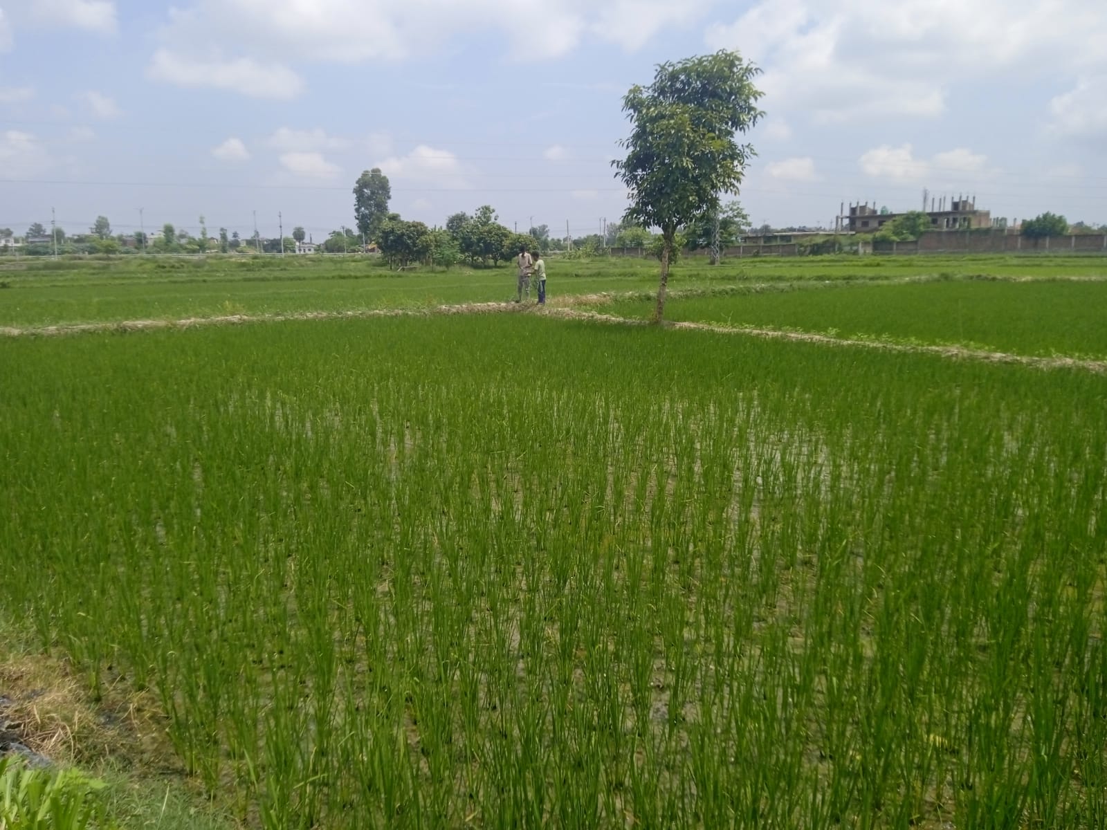 kisan ko byatha7