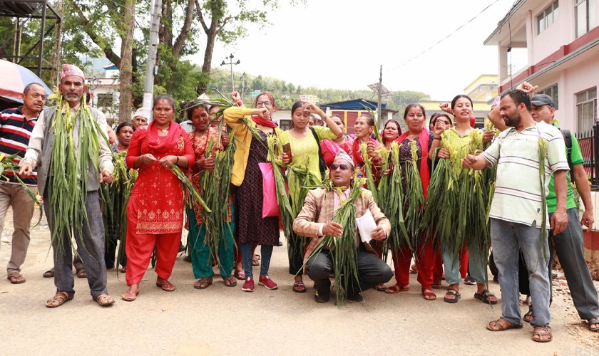 बाँदर नियन्त्रणको माग राख्दै किसान आन्दोलित, कृषि मन्त्रीको राजीनामा माग