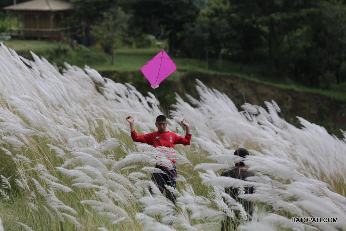 kite (1)