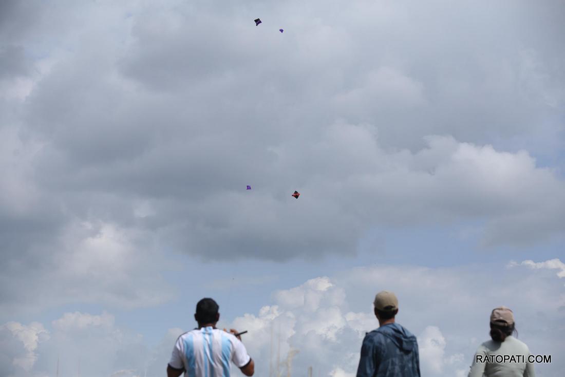 kite (12)