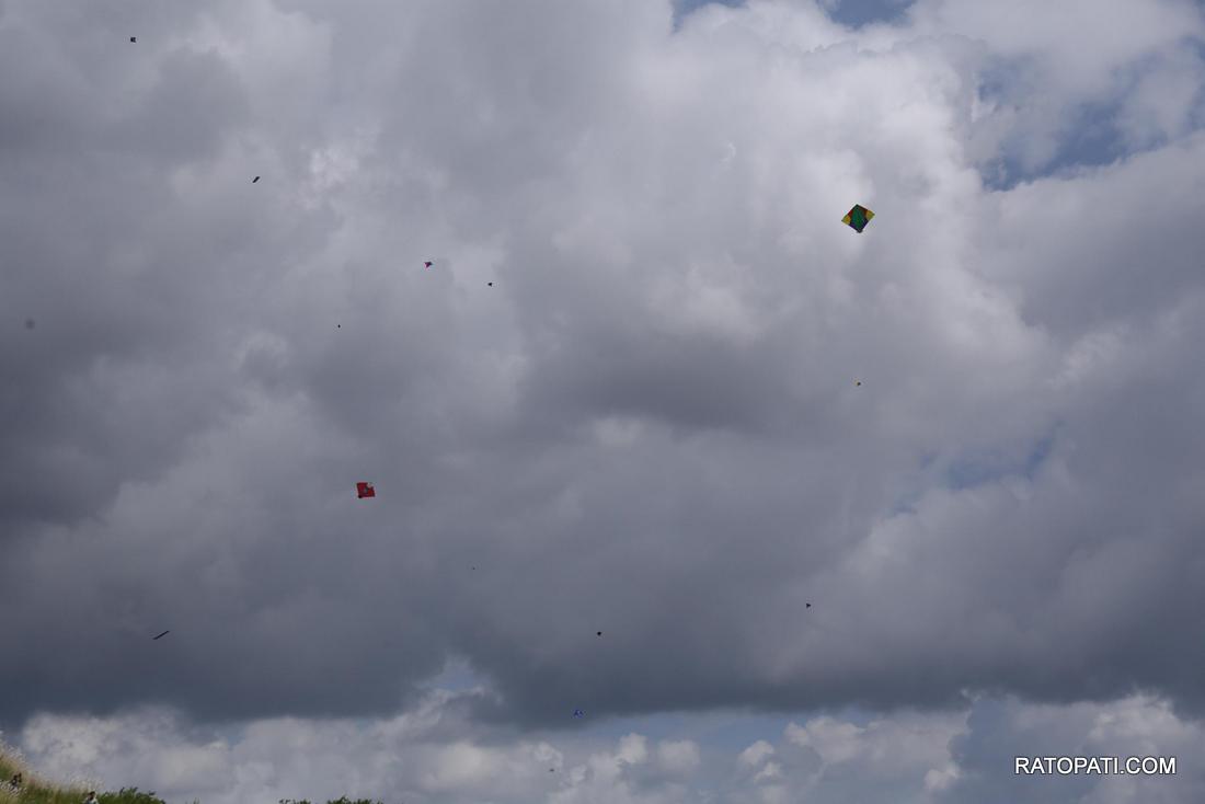 kite (3)