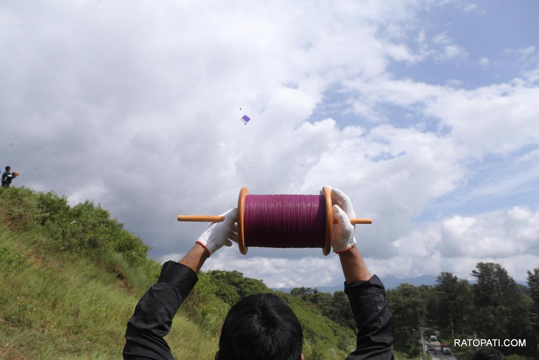 kite (4)