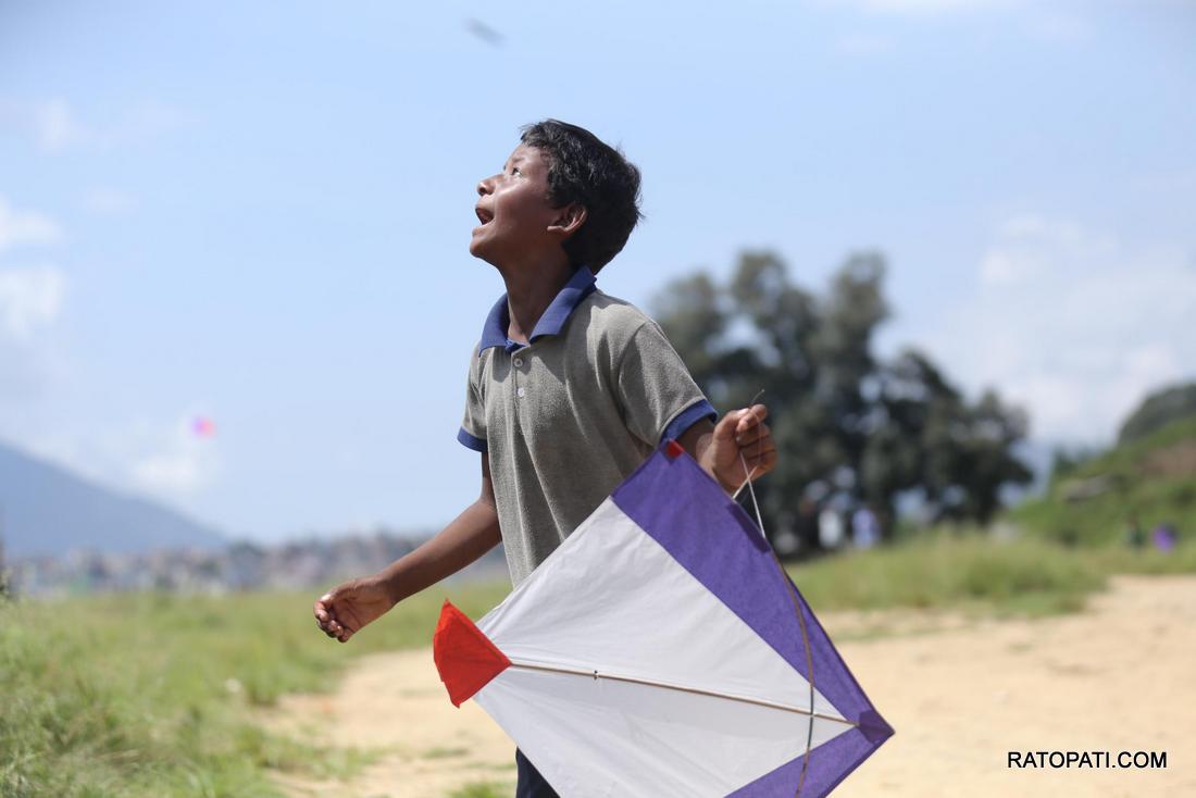 kite (6)