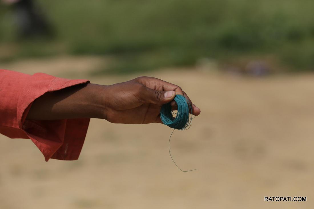 kite (9)