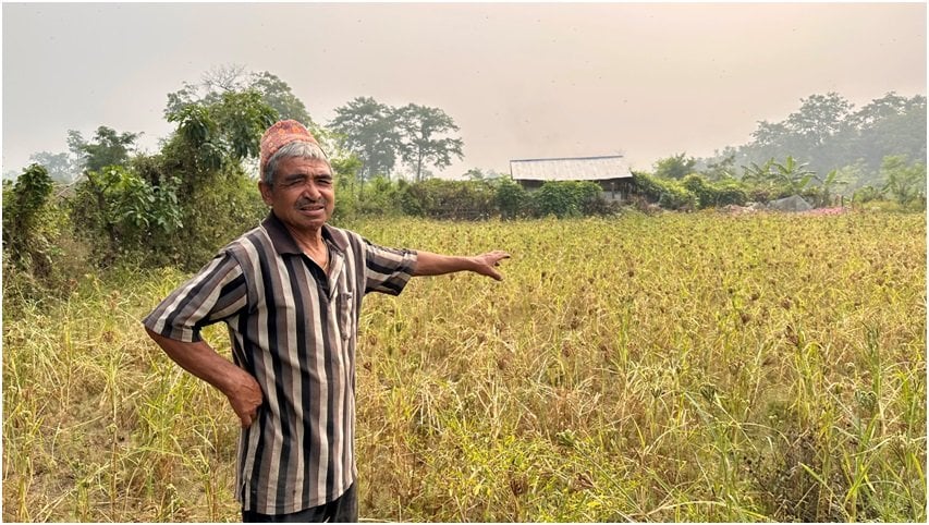 कोदोखेतीले धानेको खोरियागाउँ