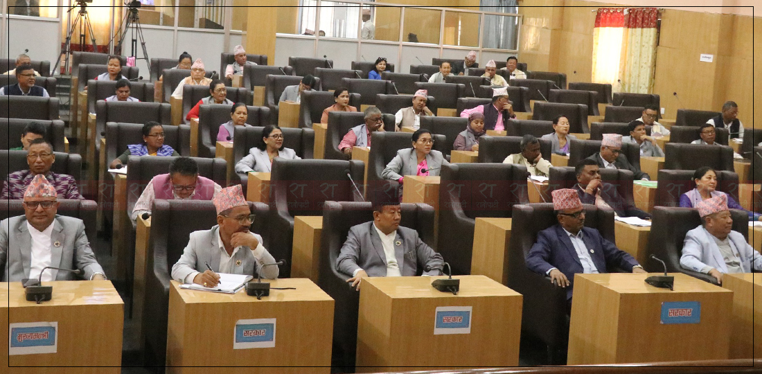   सत्तापक्षकै सांसदको रिसमा तात्यो प्रदेश सभा