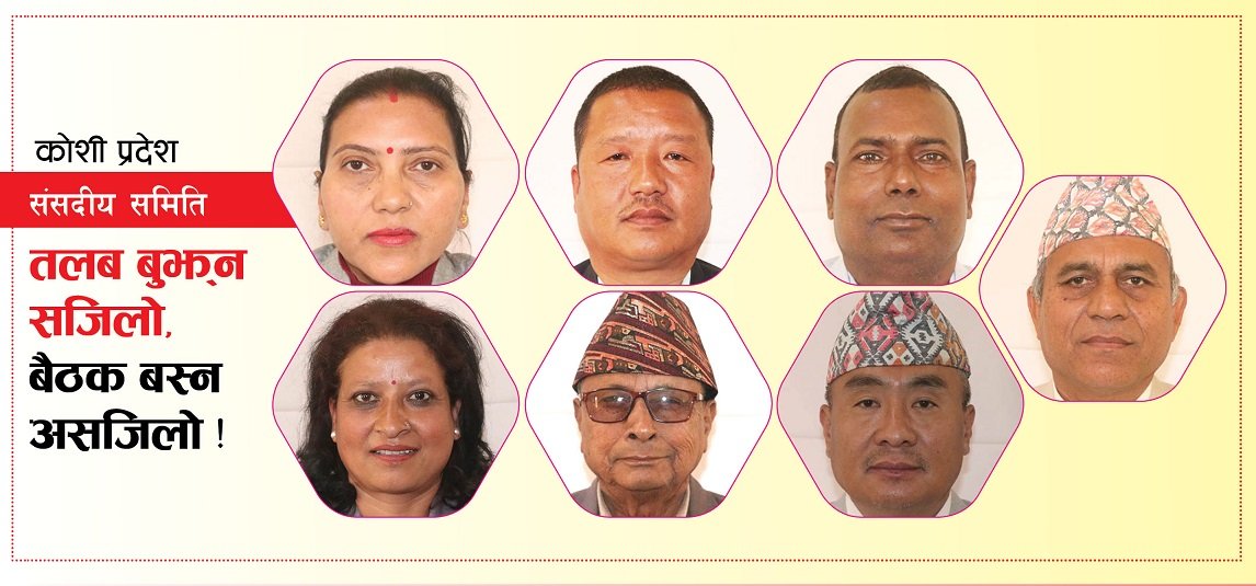   कहाँ हराए कोशीका मिनी संसद् ? तलब बुझ्न सजिलो, बैठक बस्न गाह्रो