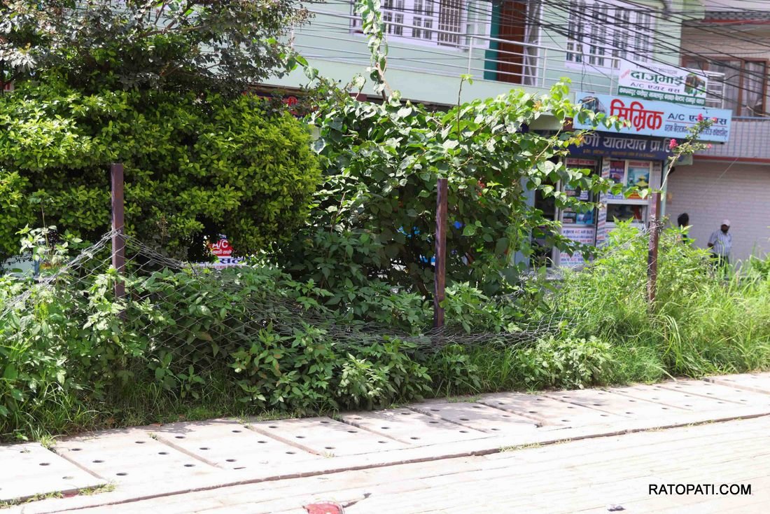 Koteshor_Balkumari_NPL16