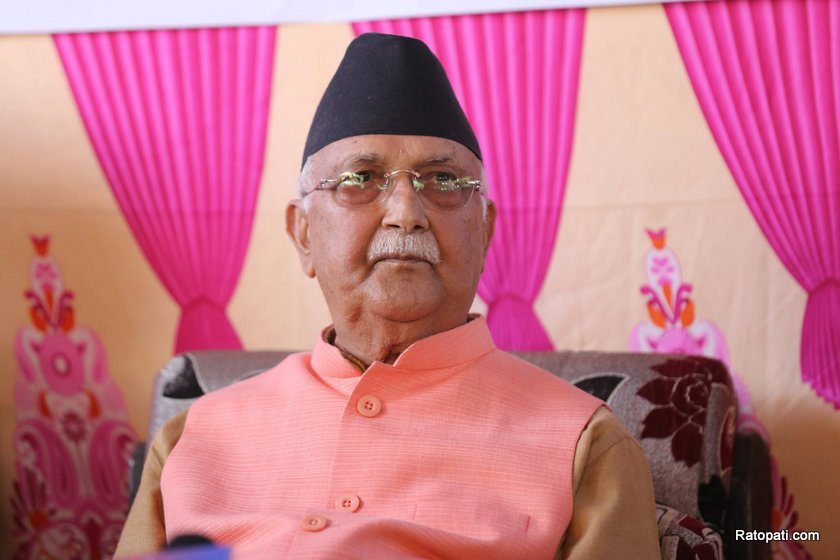 kp-oli (1)