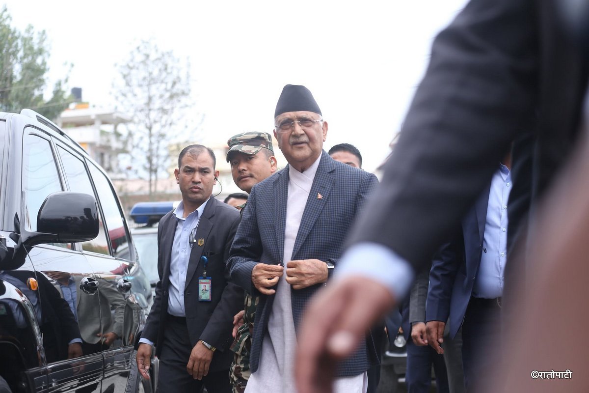 kp oli (1)