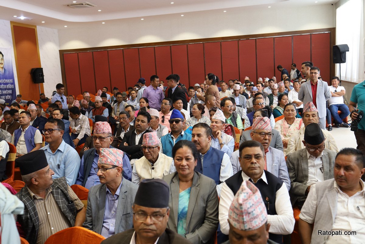 kp-oli (10)