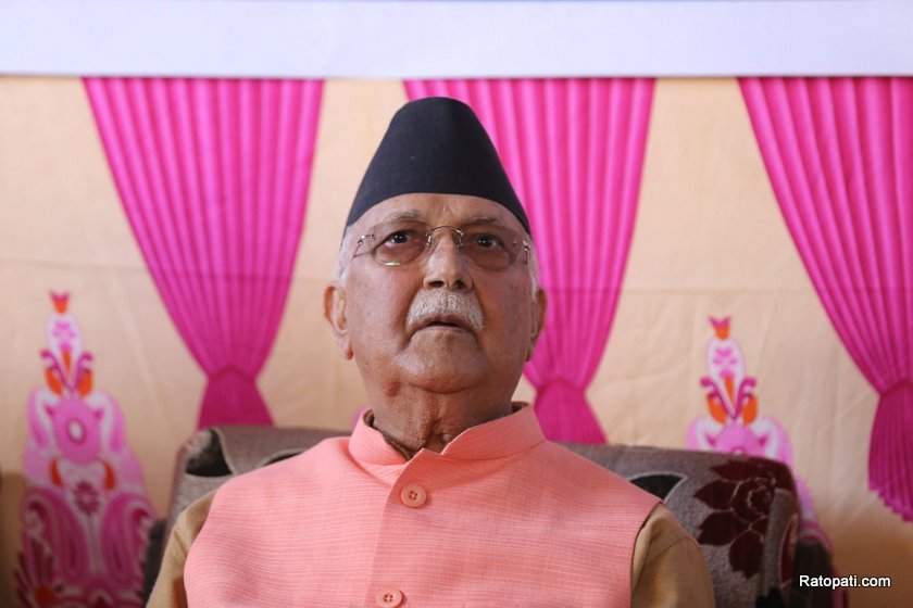 kp-oli (10)