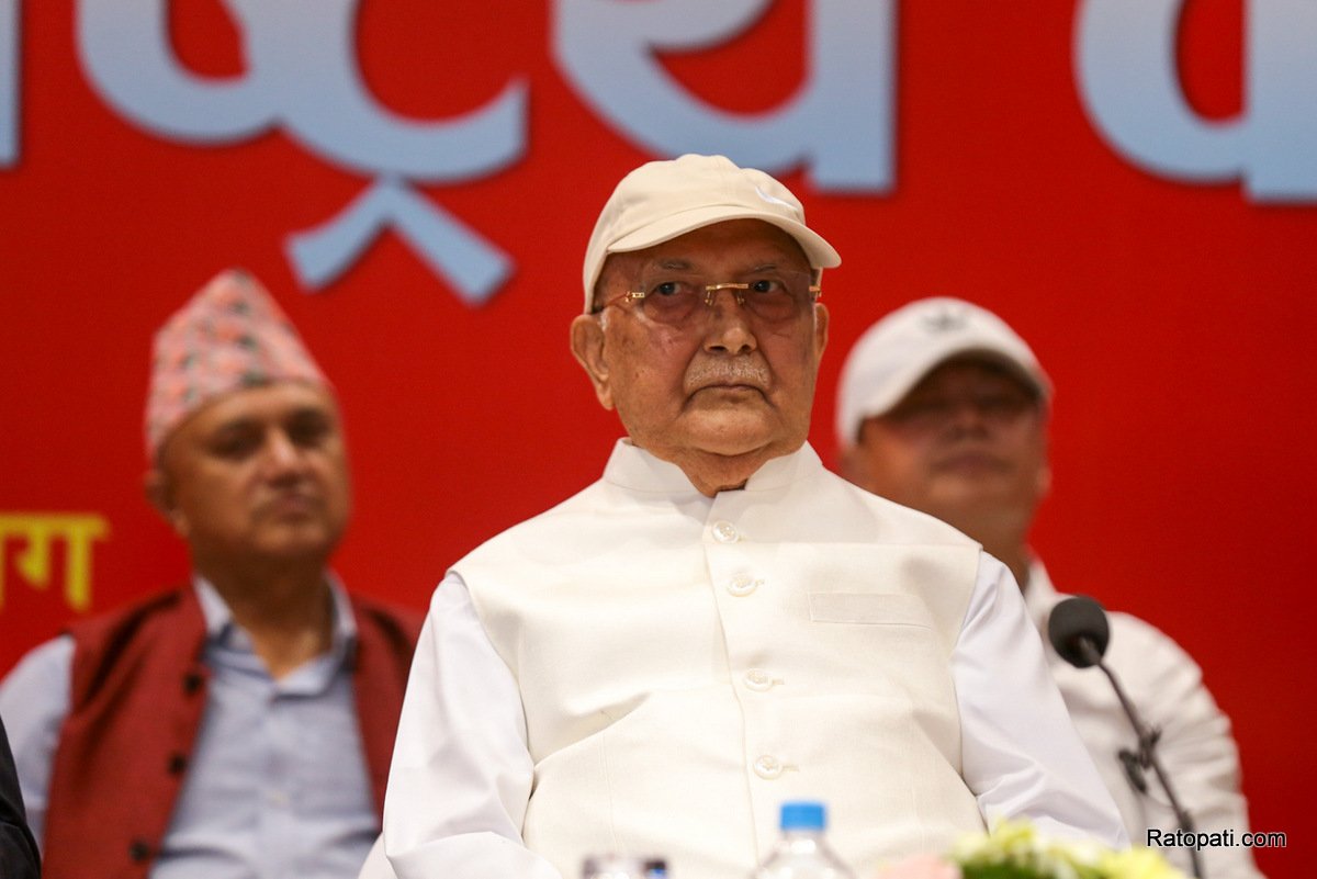 kp-oli (11)
