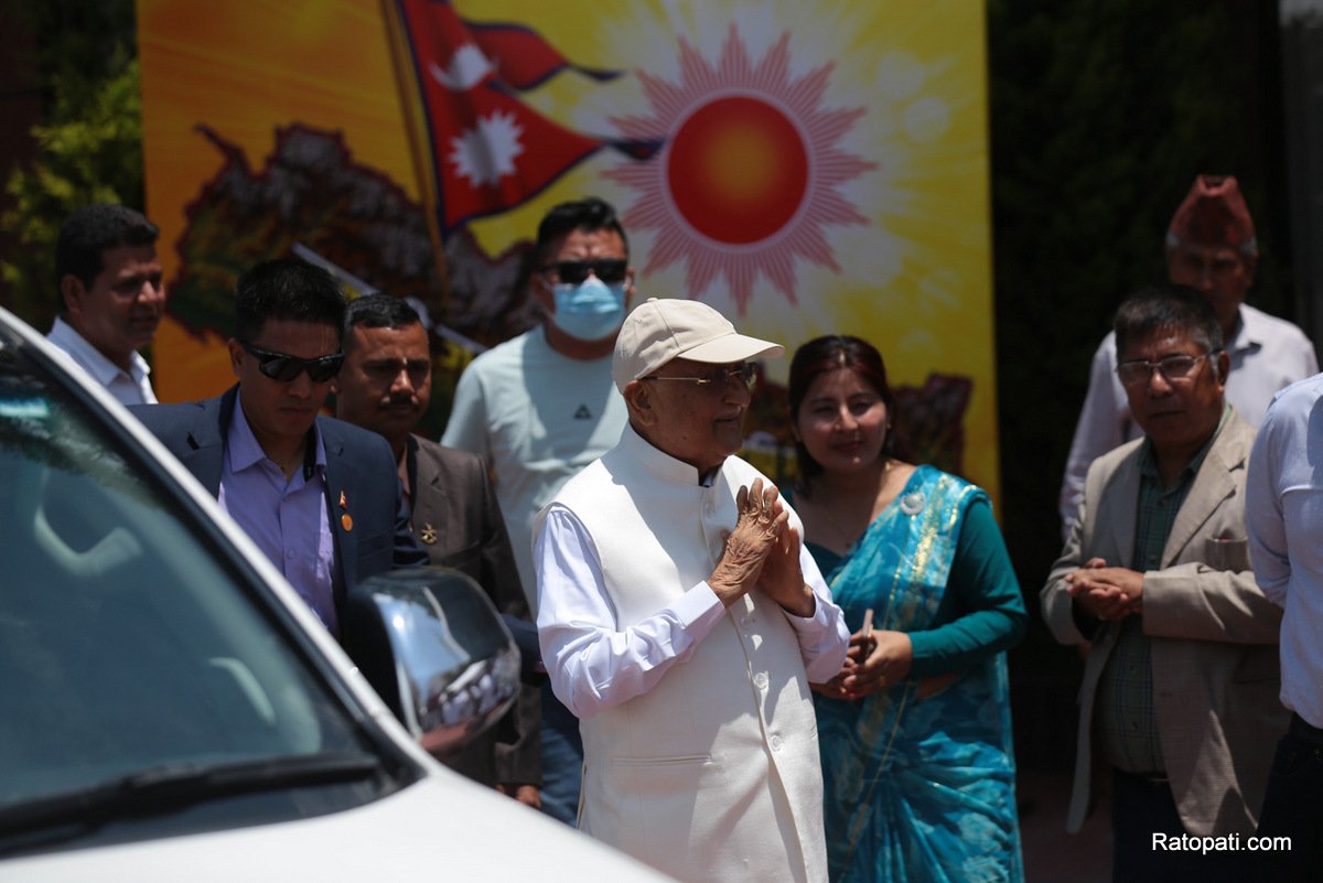kp-oli (16)