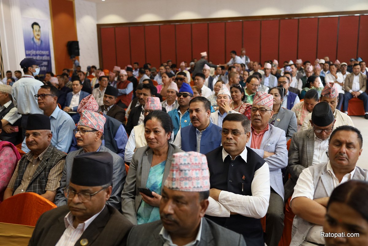 kp-oli (17)