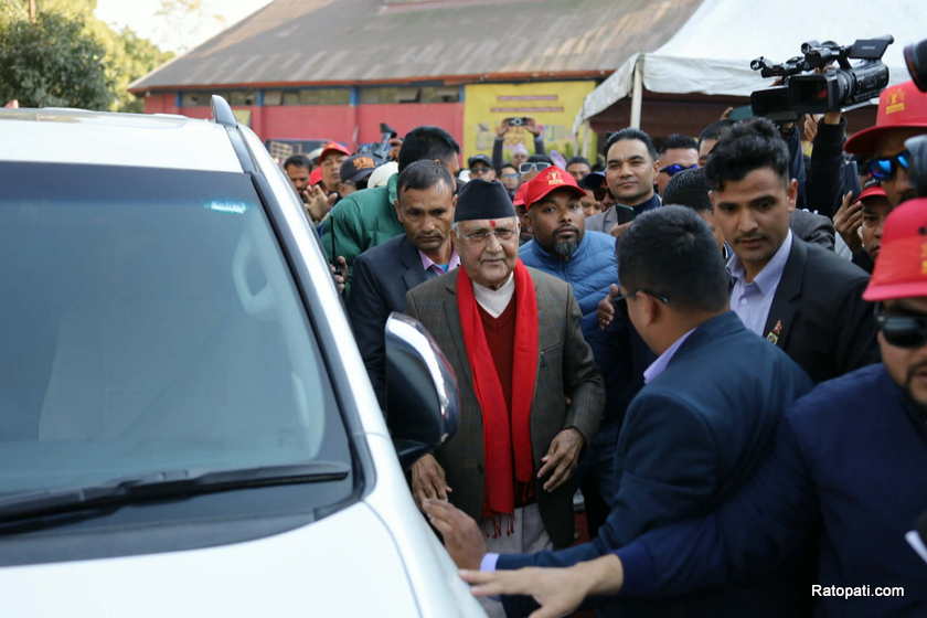 kp-oli (2)